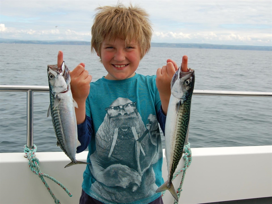 epic mackerel catch!