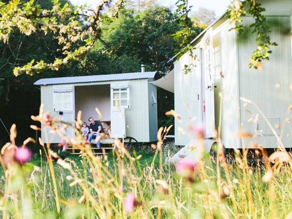 Father and son sitting in doorway of he shepherd's hut in a meadow of pink flowers