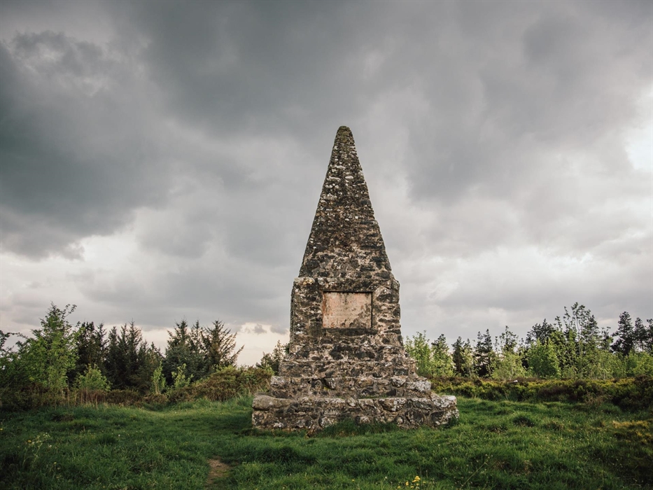 Pincyn Llys, Clocaenog Forest