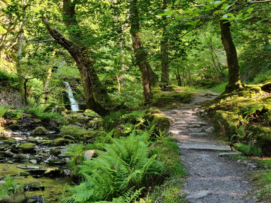 The lower falls from a distance just 5 minutes from Dolgoch Holidays - up close this is a stunning view with the option to walk up higher and find the