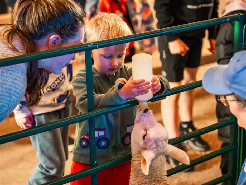 Cantref Adventure Farm
