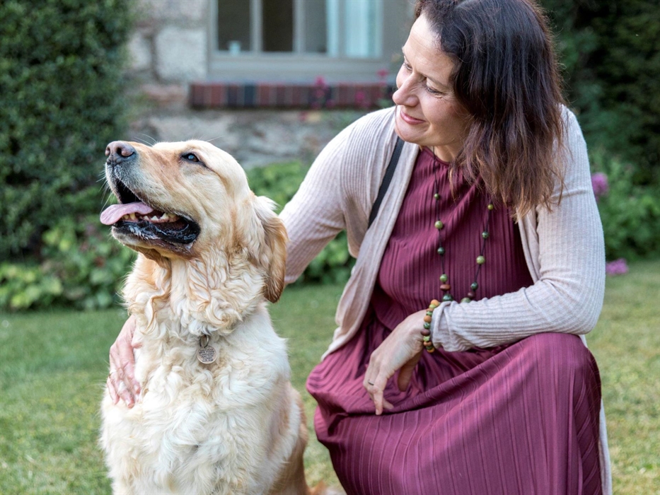 Dog Friendly Cottages