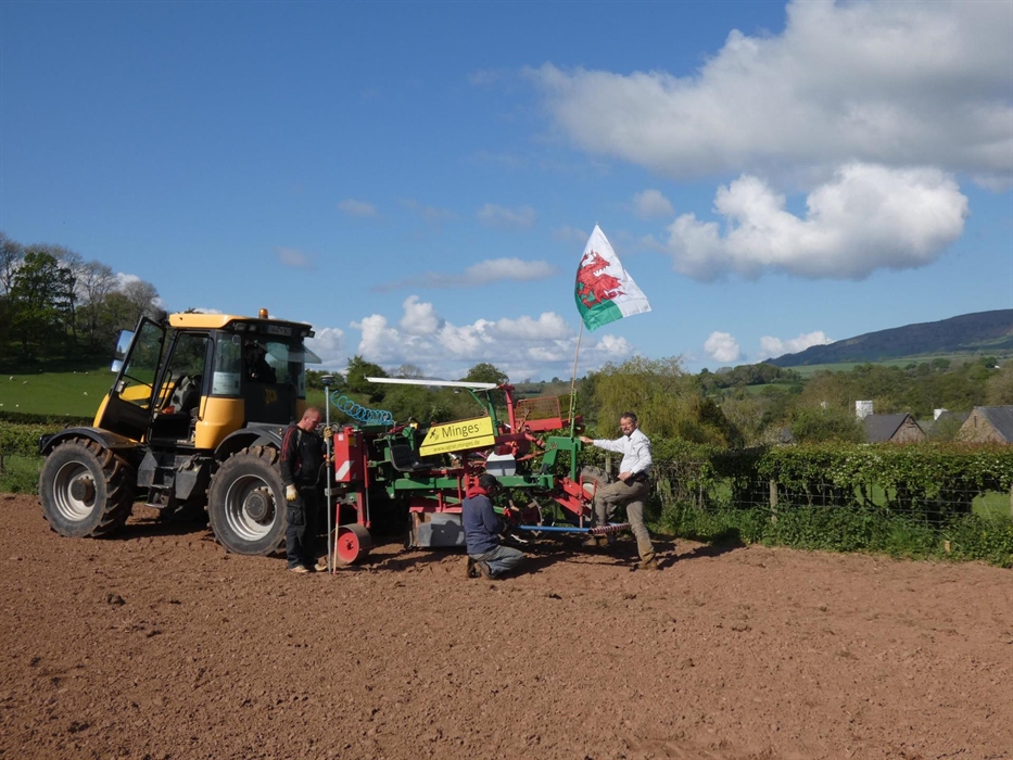 New vines being planted May 2019