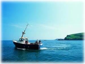 Cruise on Dale Princess