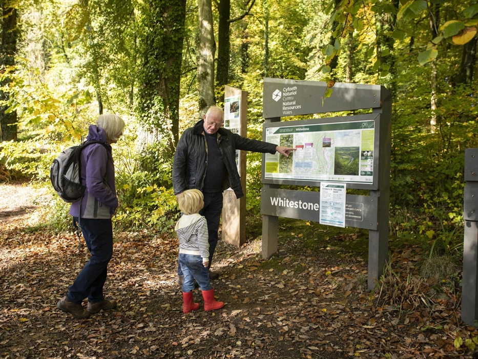 Whitestone information panel