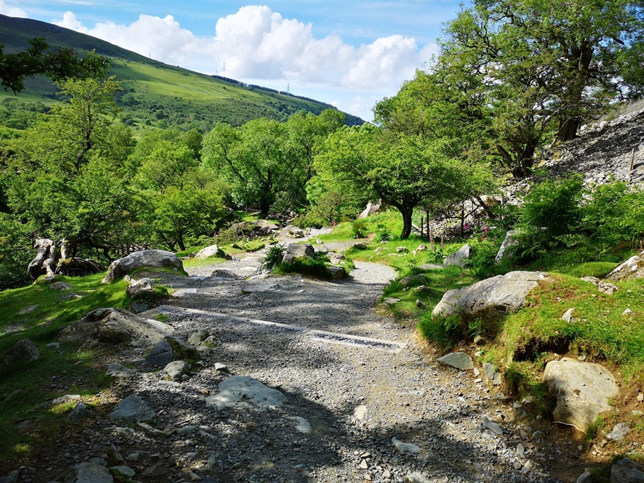 Path at Coedydd Aber National Nature Reserve