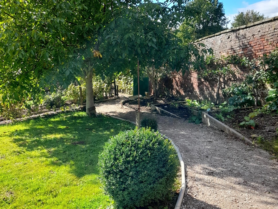 A pathway through the Victorian Walled Garden.