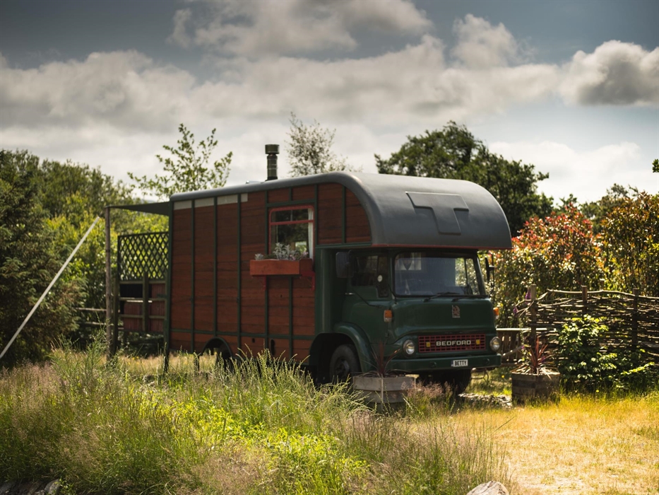 Betty Horsebox