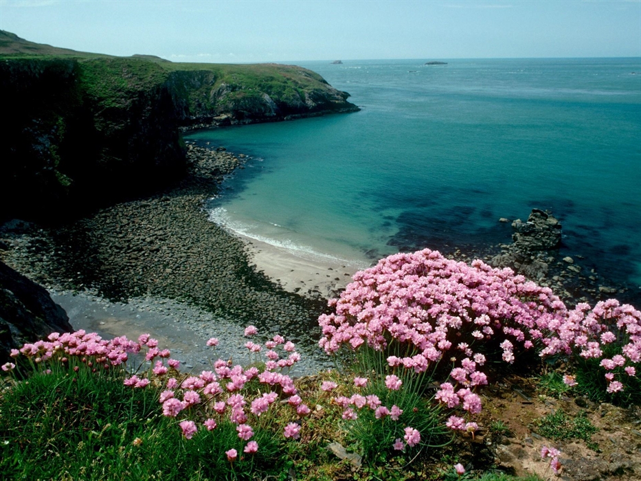 Image Credit: Chris Gomerall