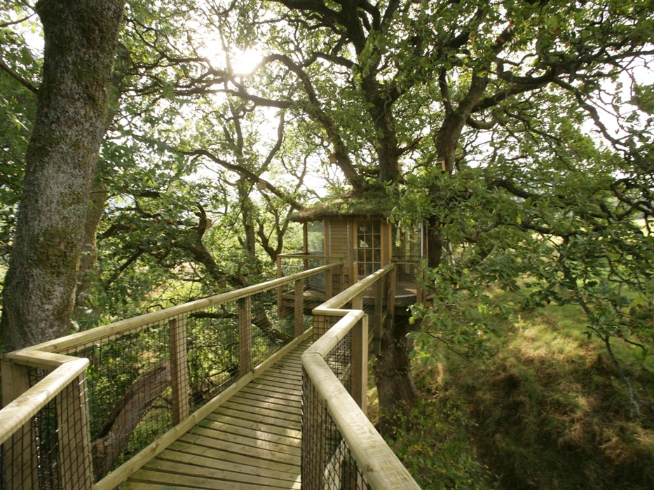 Wooden Treehouse for Badger Watching.