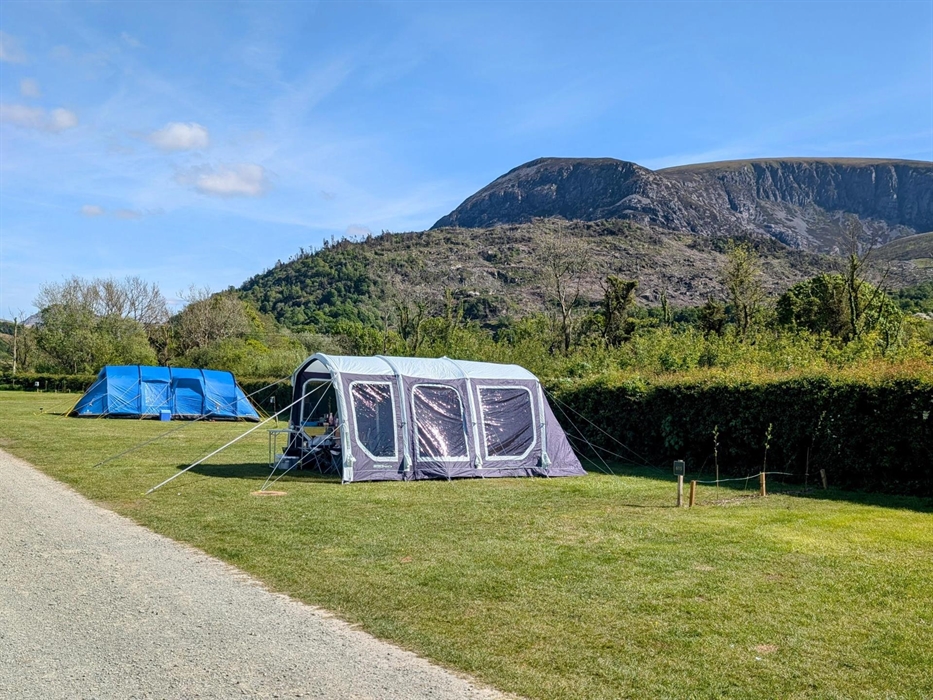 Grass Pitches with Electric
