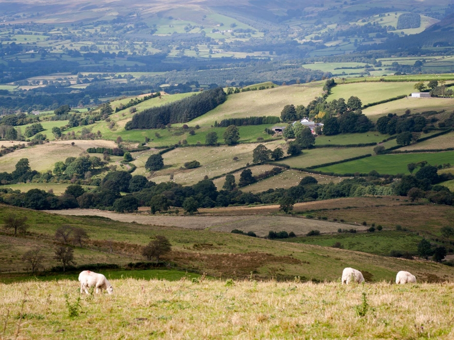 Ty Gwyn Farm with Granary Cottage can be seen in the centre of this picture. Total seclusion yet only 3 miles from attractive Victorian spa town of Ll