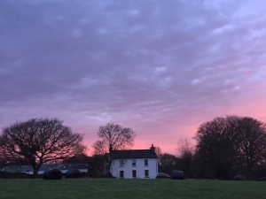 The open fields to the front of Ty Fforest