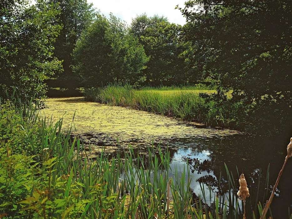 Hen Gwrt Moated Site