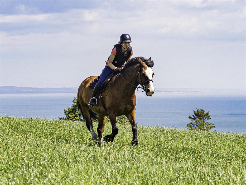Horse riding with a beautiful view