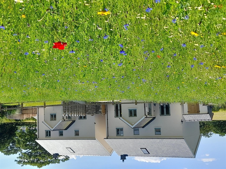 Ynyswen Cottages from the back