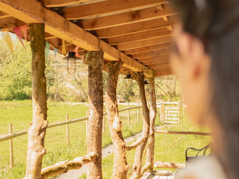 Views over the meadow