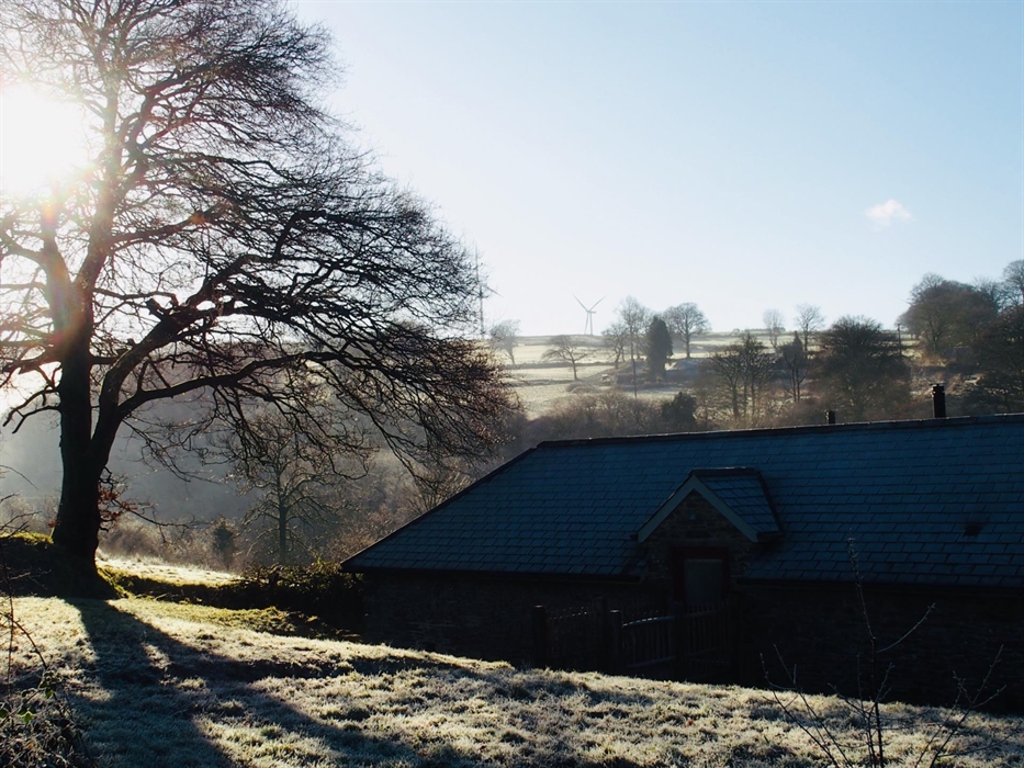 The garden looks up to Llanllwni Mountain, you can see the wind farm on the top of the mountain
