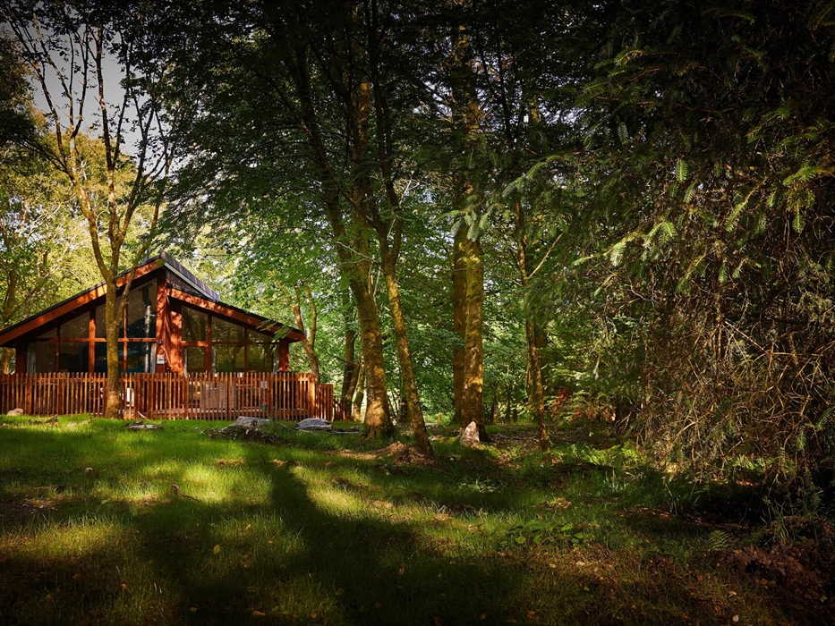 A cabin with trees in the foreground, at Beddgelert, Eryri.