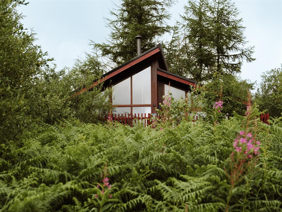 A cabin partially covered by trees, shrubbery and wild flowers at Garwnant.