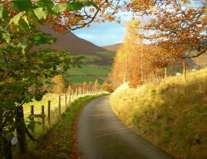 Gilfach Nature Reserve