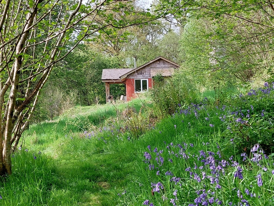 A bluebell path to the Straw Cottage