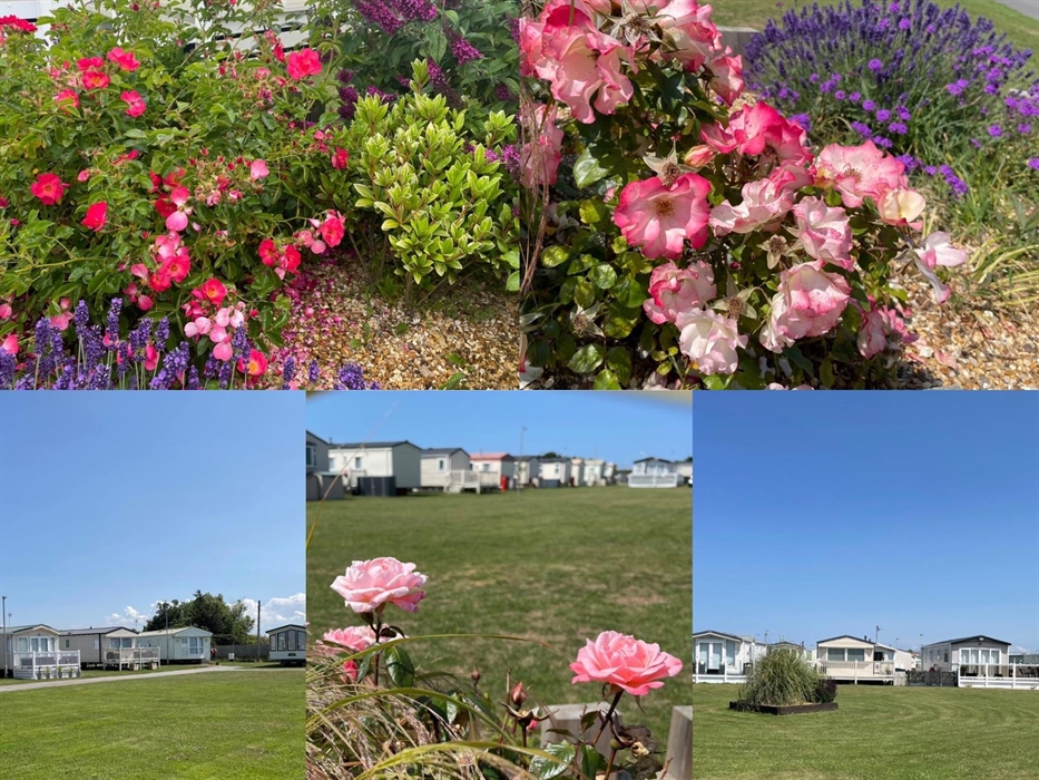 Ty Gwyn Holiday Park landscaping