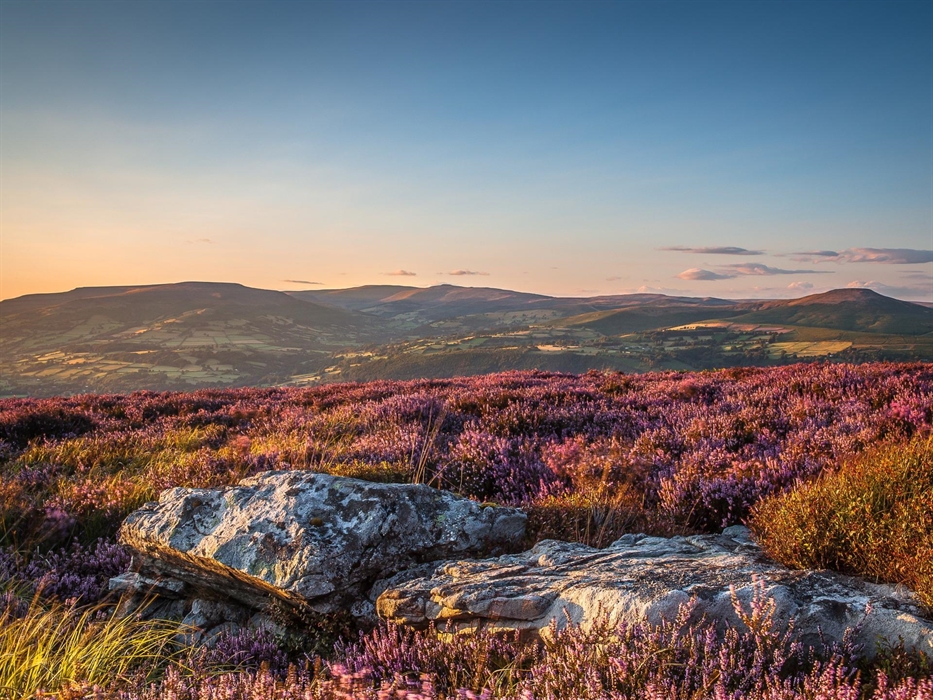 Image Credit: Dan Santillo