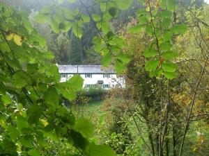 The Crown at Whitebrook