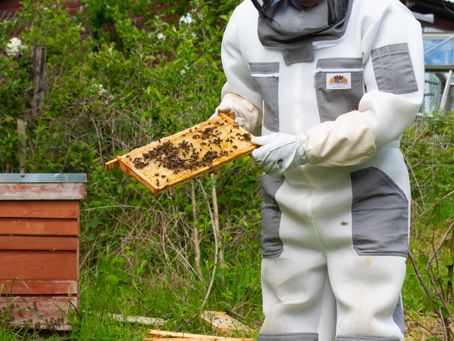 Nigel - Host and Resident Bee-Keeper