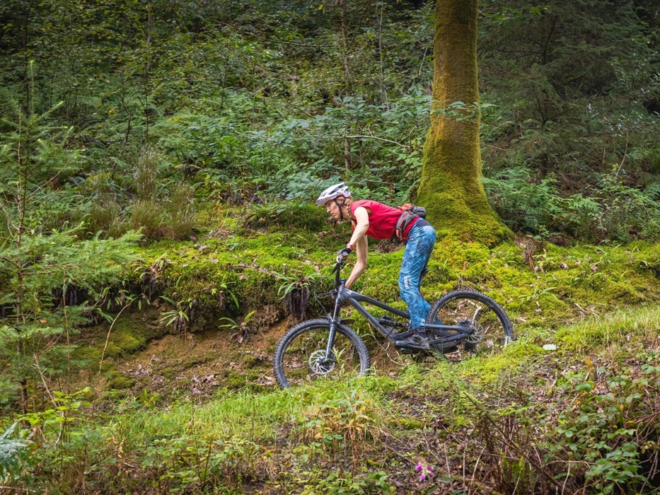Mountain biking in Abergorlech, Brechfa Forest