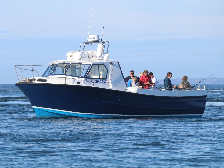 Blue Shark fishing off Strumble Head