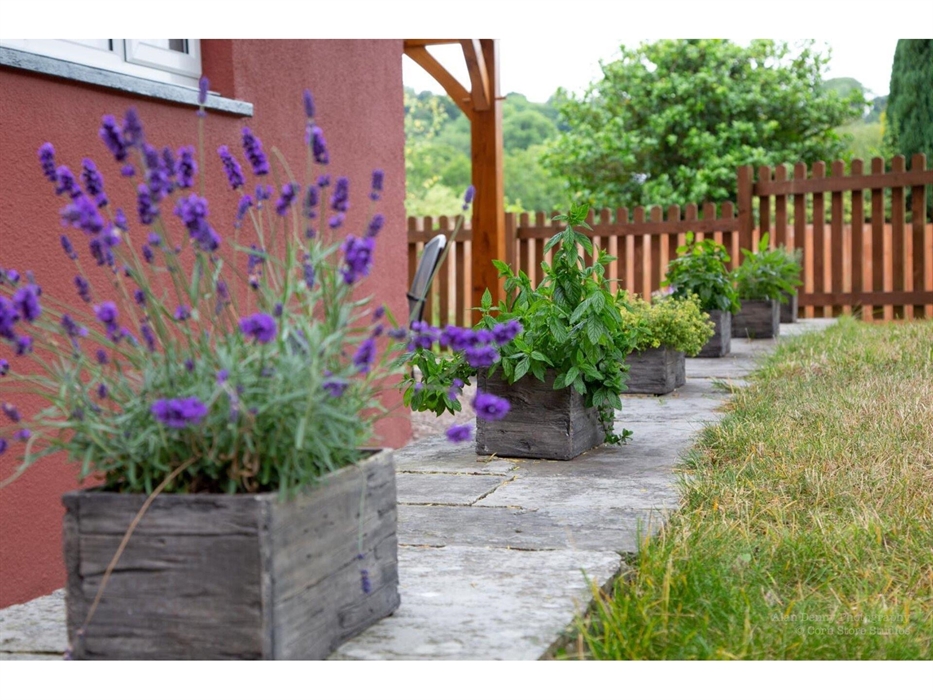 Lavender, mint, sage, thyme, oregano, rosemary