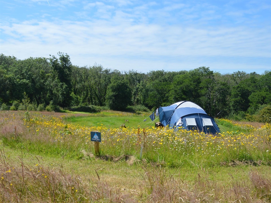 Hermit Crab Camping Pitch