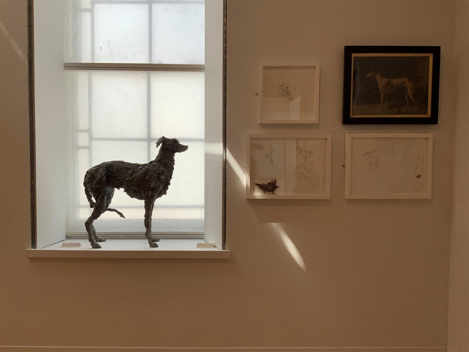 Royal Cambrian Academy of Art