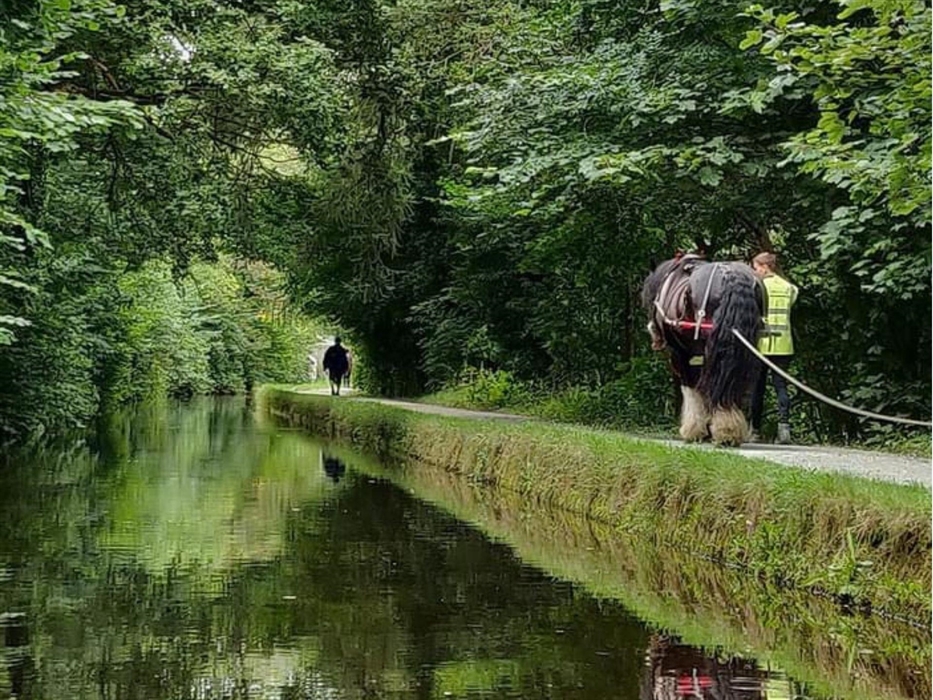 Scene of one of Llangollen Wharf's horse drawn boats travelling a long the Llangollen Canal.