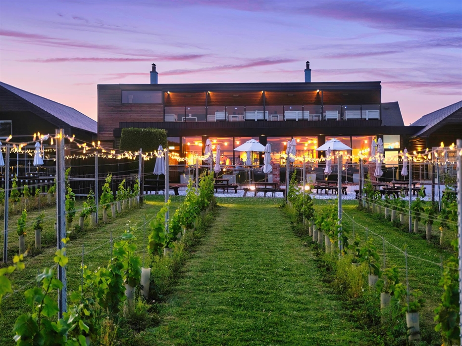 Evening view of Llanerch Vineyard from outside