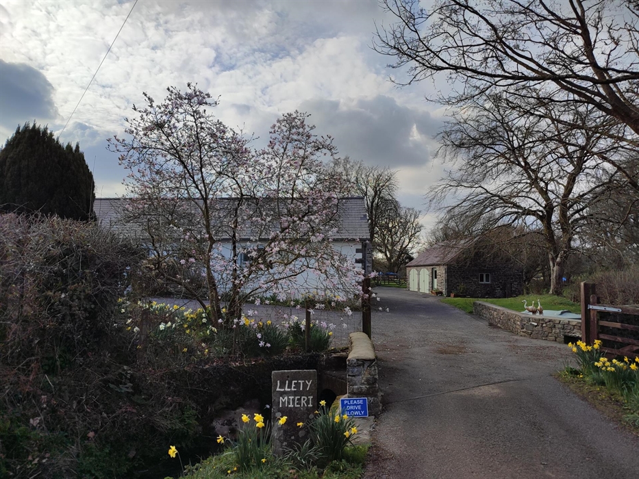 Arriving at Llety Mieri