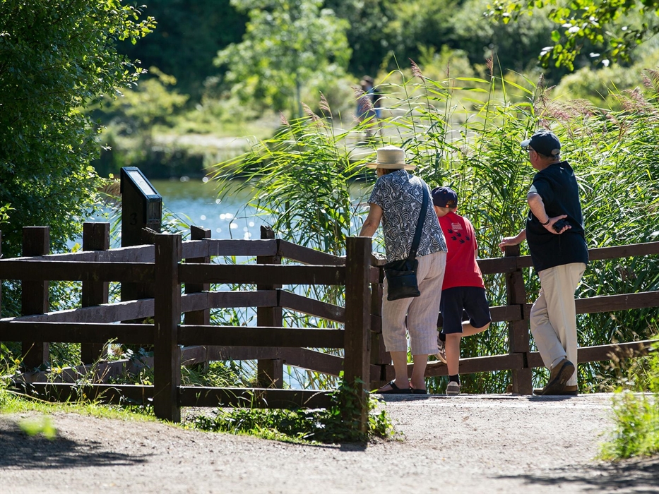 A unique blend of countryside, activity adventures and history, all in one of the finest country parks in South Wales covering 100 hectares.