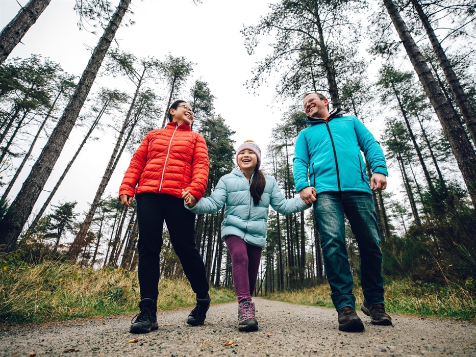Walking in Newborough Forest