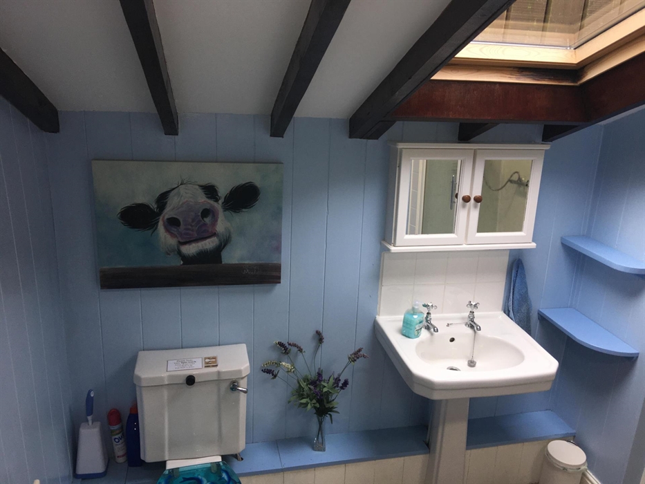 The bathroom has a large shower, washbasin and toilet, linen cupboard with a supply of bathroom towels.