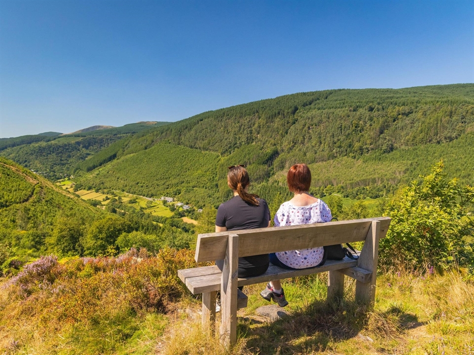 Foel Friog viewpoint, Dyfi Forest