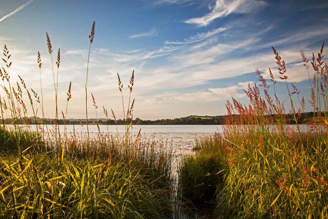 Llangorse Lake