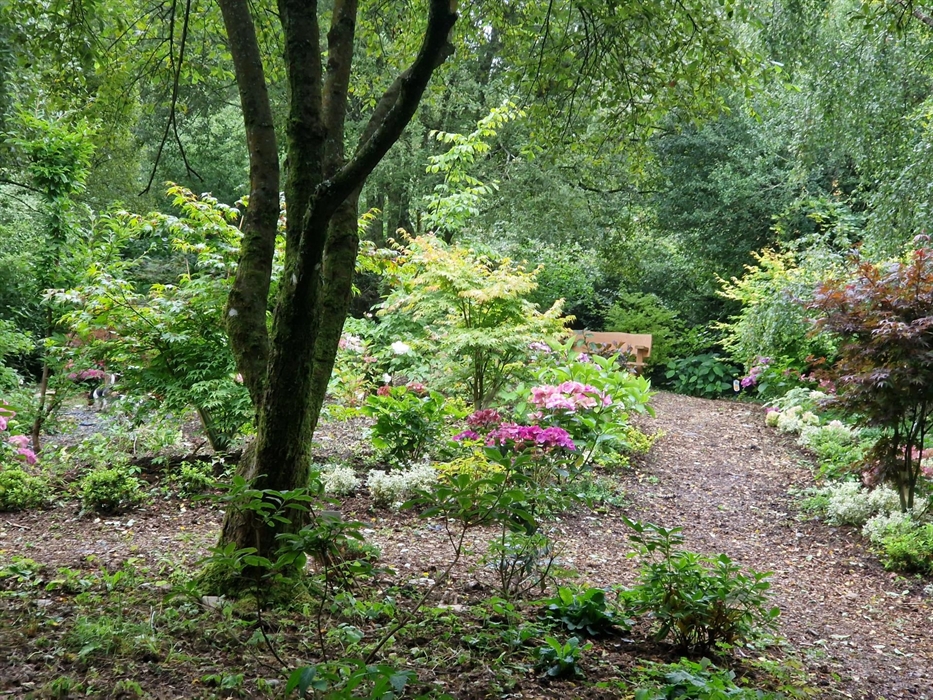 One of the many places to sit and enjoy the bird song