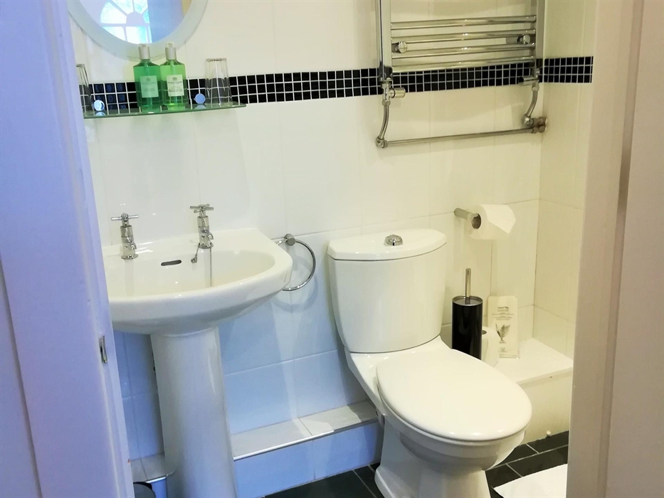 Room 9 Ensuite Shower Room