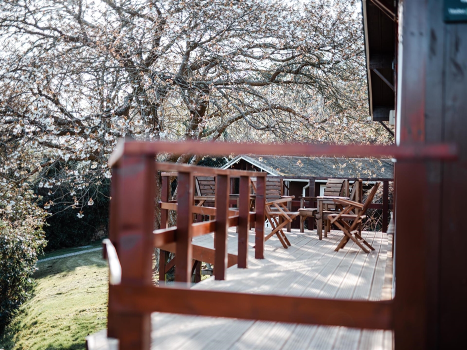 Tranquil surroundings enveloping a cosy lodge, a home amidst nature.