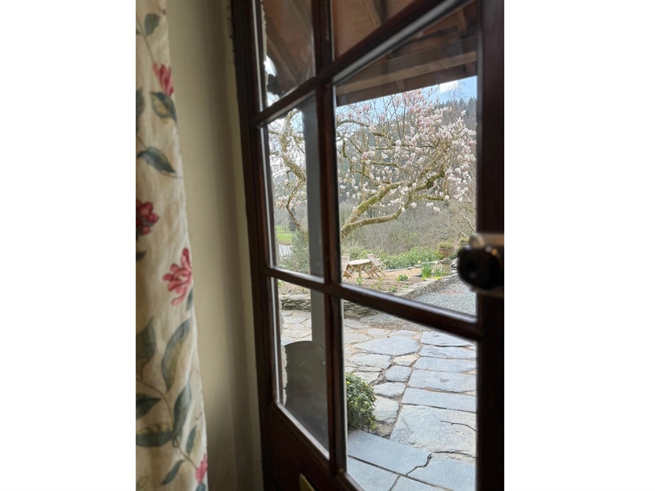 Spring view out of the front door at Coedfa Bach with its Magnolia tree in full bloom and views across to the Lledr Valley (hills and river)