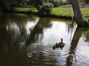 The Trotting Mare Caravan Park