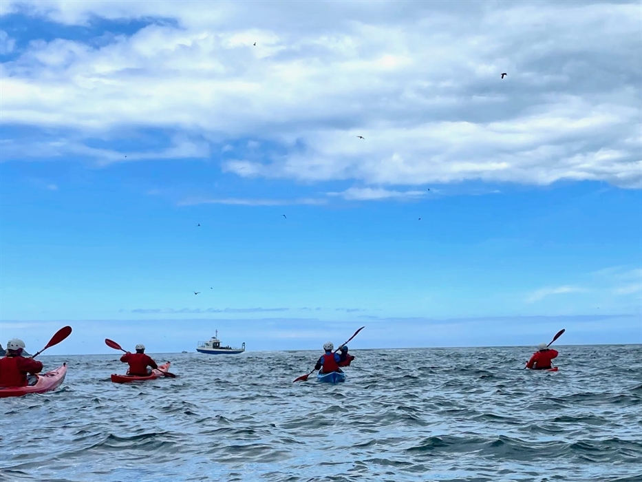 Group of sea kayakers paddling to Skomer Island, with a boat in the distance, and hundreds of puffins in the air above them
