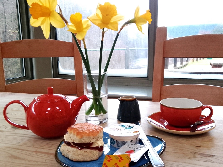 Elan Valley Cafe scone and tea